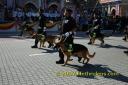 K-9 Unit